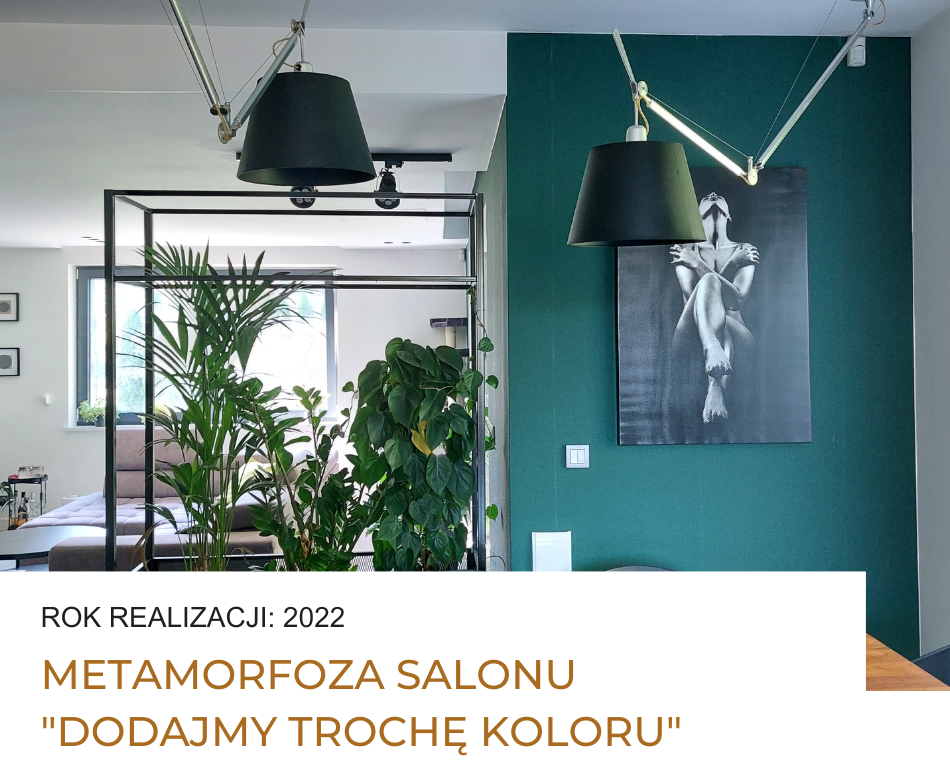 salon, projektant wnetrz